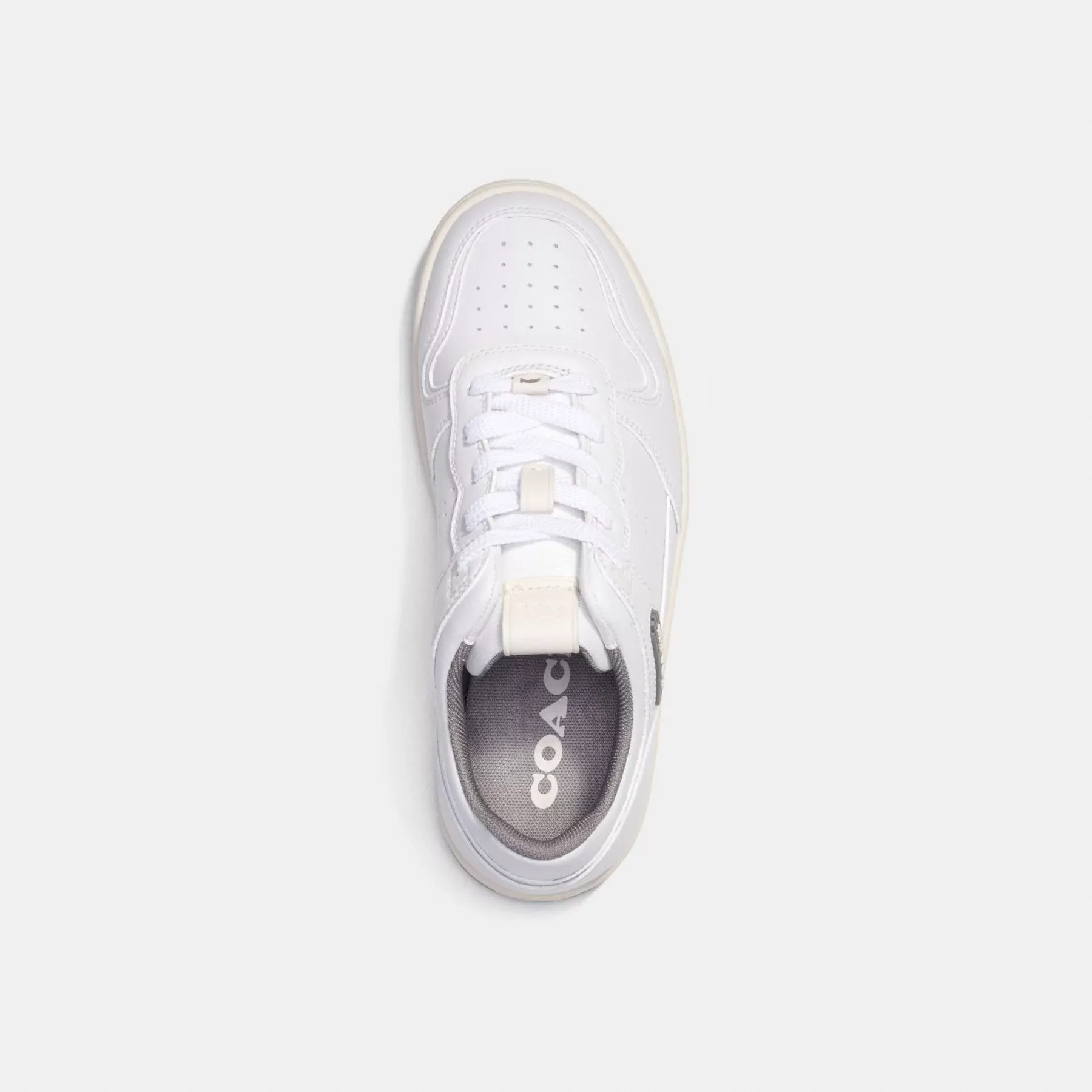C201 Low Top Sneaker C201 Low Top Sneaker