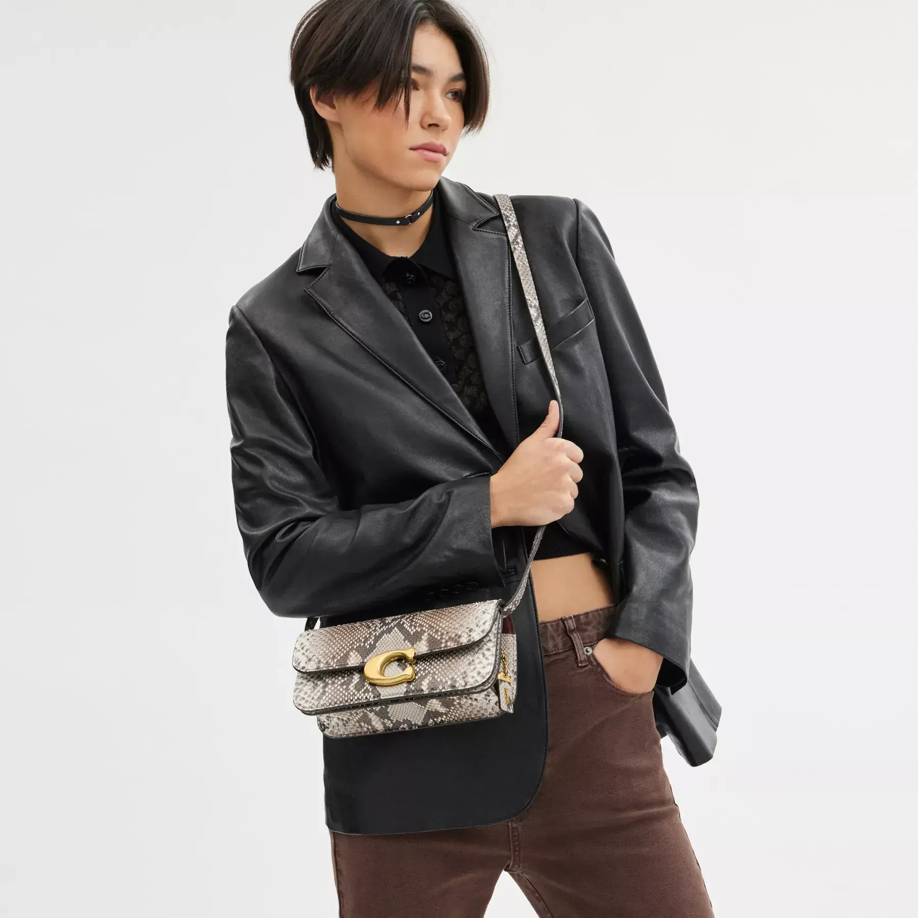 Idol Bag 23 In Python Idol Bag 23 In Python