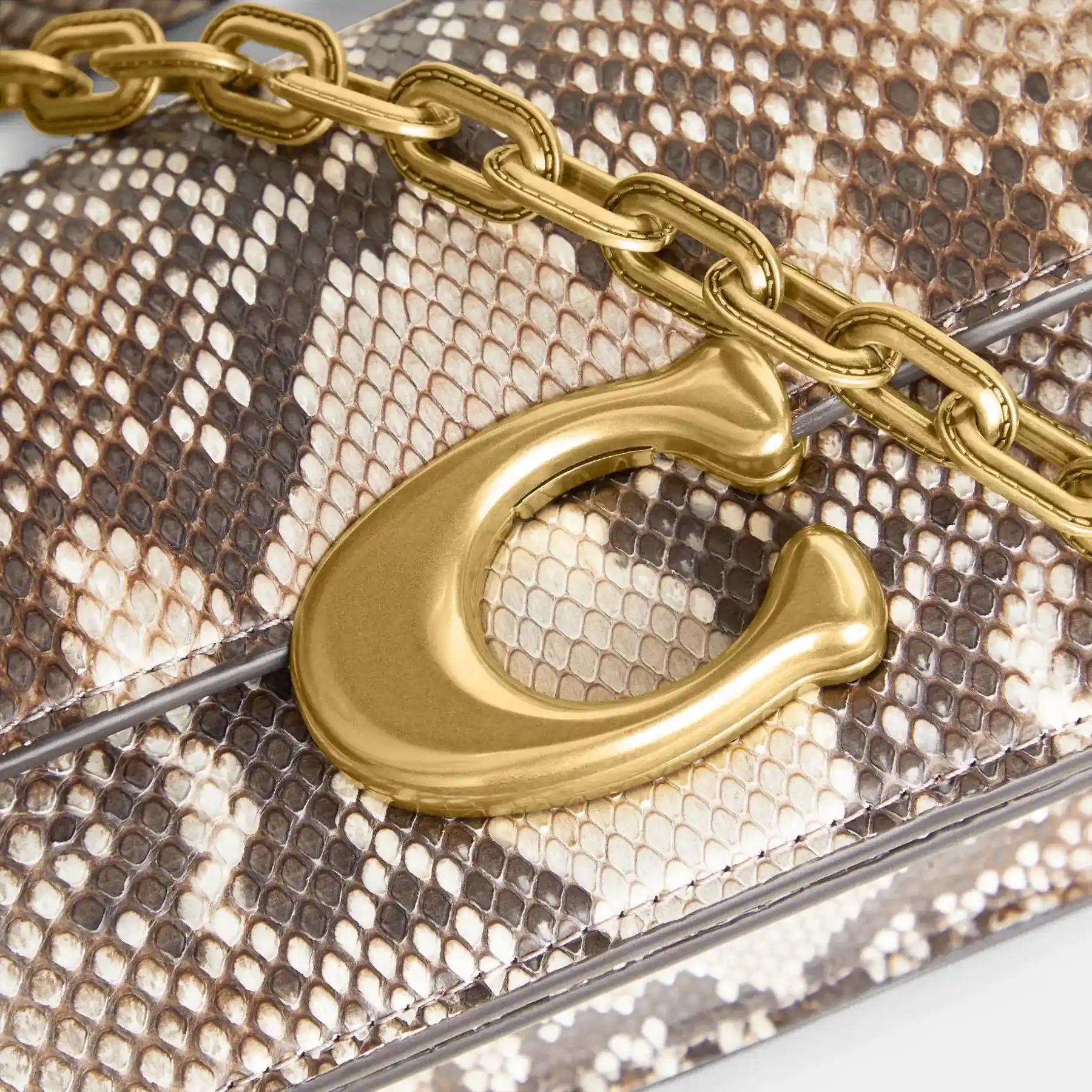 Idol Bag 23 In Python Idol Bag 23 In Python
